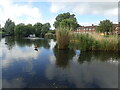 Lake in Aberford Park