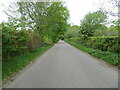 Hedge enclosed road near to Leuchars House