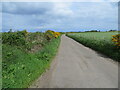 Cadgers Road giving access to Kingston