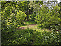 Dried up pond near sewage works access road