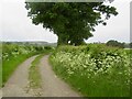 Farm track near Longden