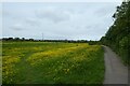 Path along Rawcliffe Ings