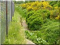 Former mill leat, Port Elphinstone