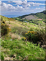 NR7836 : View down the hillside to Lephincorrach by Mick Garratt