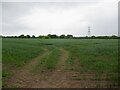 Field off Parkgate Lane