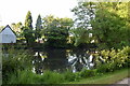 Pond near The Hall, Great Canfield