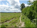 Path to another new housing estate