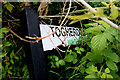 Damaged road sign, Magheragart