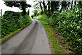 Bend along Togherdoo Road