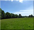 Barn Field