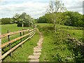 Footpath to Dawson Wood, Thackley