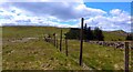 NN9502 : Deer fence on Bentie Knowe by Gordon Brown