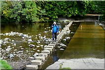NY9939 : Stepping Stones across the River Wear at Stanhope by Chris Heaton