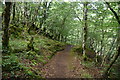 Footpath by River Inver