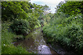 River Roach, Rochford