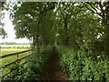 SE6649 : Path by Gipsey Wood Farm by David Brown