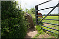 SO8406 : Stone Stile Stokenhill Lane, Whiteshill GS9313 by Maggie Booth