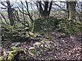 SP0600 : Stone Stile near wooden bridge over ditch, Harnhill GS9306 by Jayne Tovey