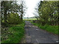 The road into Blackgreves Farm