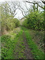 Bridleway & track towards Headley Heath