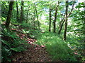 Llwybr i Alltybwla Hen / Path to Alltybwla Hen