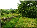 Path from Old Lindley Road to Turley Cote Lane