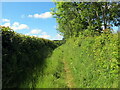 Llwybr ger Pentregwine / Path near Pentregwine