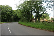 TL9537 : Stoke Road, Leavenheath by David Howard