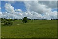 Fields near Home Farm