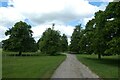 Avenue of lime trees