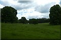 Fields near Charmandean School