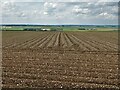 SE9241 : Farmland east of Arras by Neil Theasby