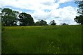 Field beside a bridleway