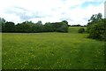 Field beside the A43