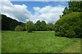 Trees in Shire Meadow Park