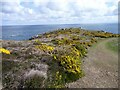SM9041 : Pen Caer, Pembrokeshire Coast Path by Jeff Gogarty