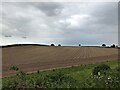 Field near Lockwell Hill Farm