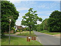 B2128 road and village sign, Shamley Green