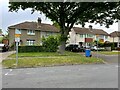 Houses along Beech Road