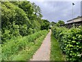 Footpath along Cove Brook