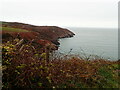 SM9240 : Looking across Aber Felin to Carregwastad Point by Eirian Evans