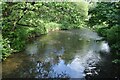 River Nadder from Catherine Ford Bridge