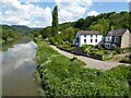 SO5301 : Houses beside the River Wye by Philip Halling