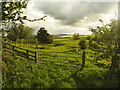 Footpath and Gate near the River Till