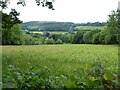 Farmland above the Wye Valley