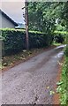 Road from Cwmcarvan towards Perth Hir