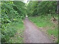 Deeside Way near Nether Park