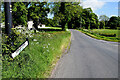 Tonnagh Road, Meenagar