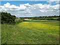 View from Cabbage Lane towards Bottom Farm