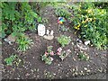 Ornamental garden in Crich Lane Festival Park, Belper